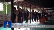 開學(xué)季家里娃“罷工”怎么辦？專家支招專治賴床“神